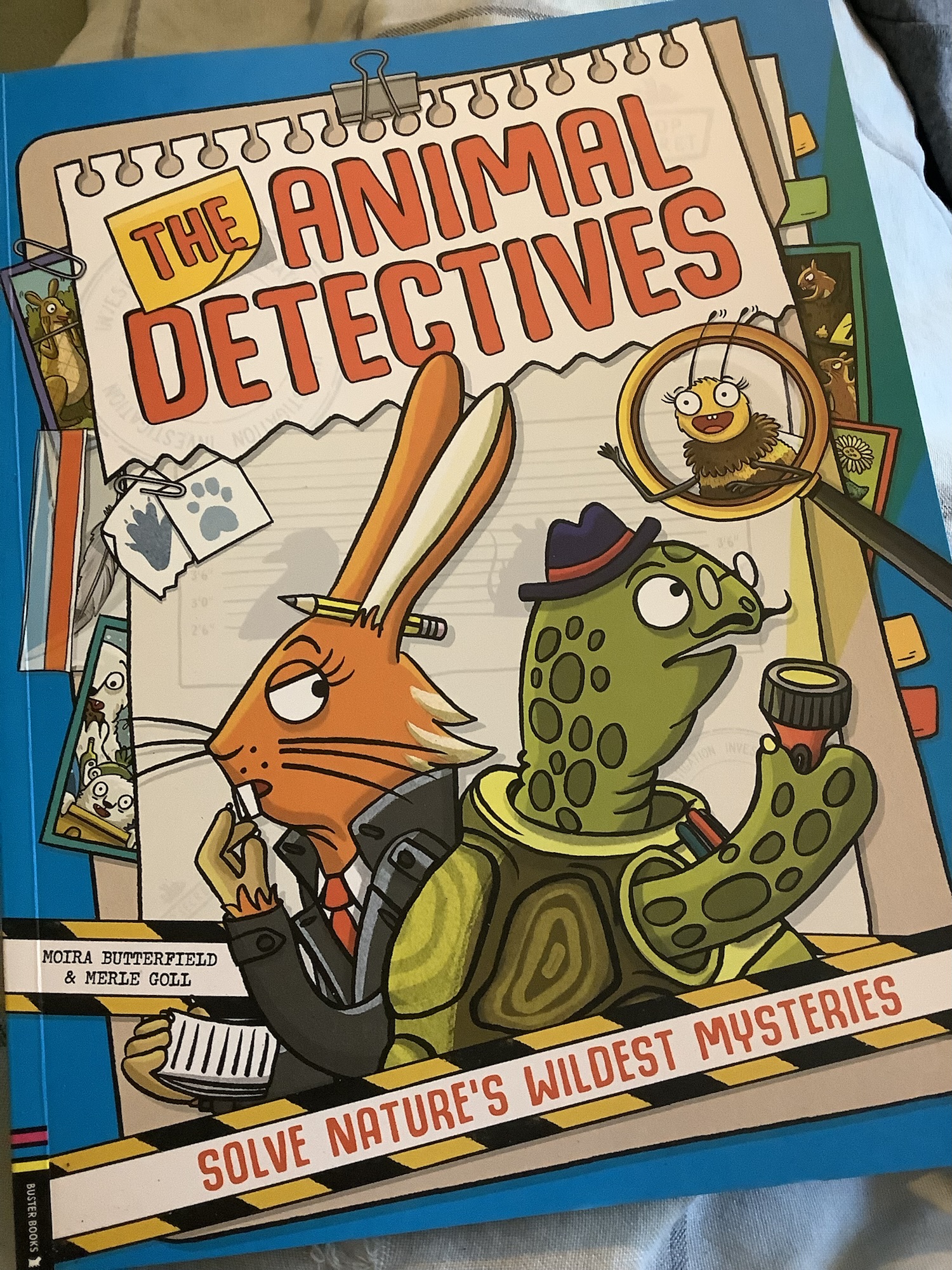 Nifty Non-Fiction! – My Shelves Are Full